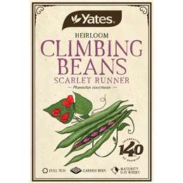 Yates Heirloom Climb Beans each