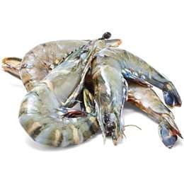 Thawed Extra Large Raw Tiger Prawns per 100g