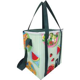 Woolworths Reusable Chiller Shopping Bag each