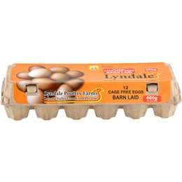Lyndale 12 Gippsland's Own Large Cage Free Eggs 600g